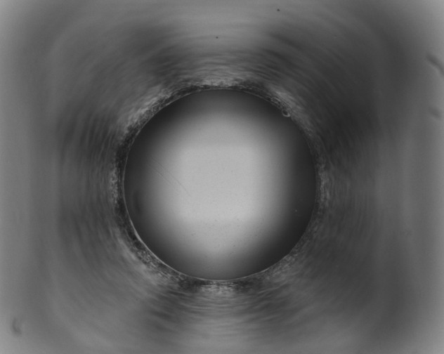 X0000099960354200806061611