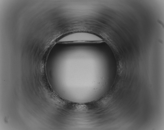 X0000099960355200806061611