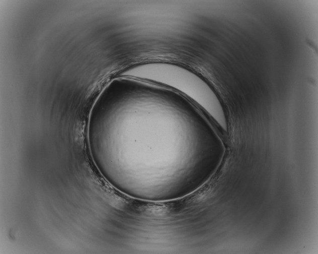 X0000099960357200806061611