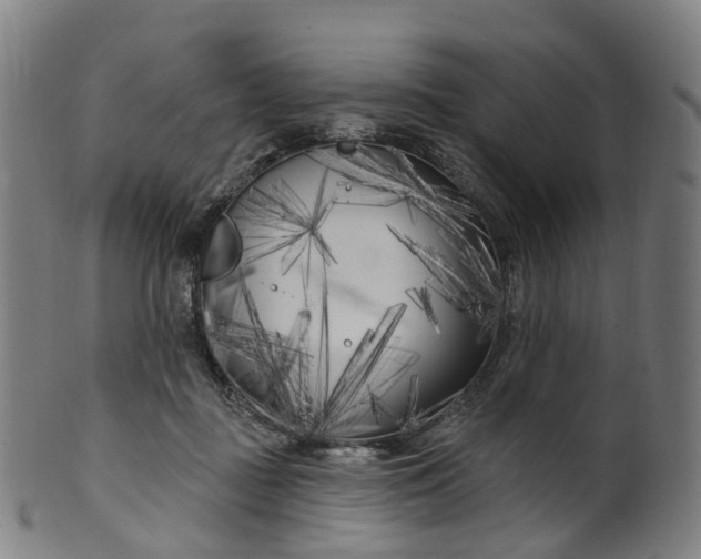 X0000099960363200806061611