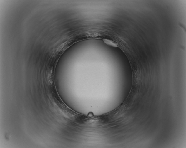 X0000099960364200806061611