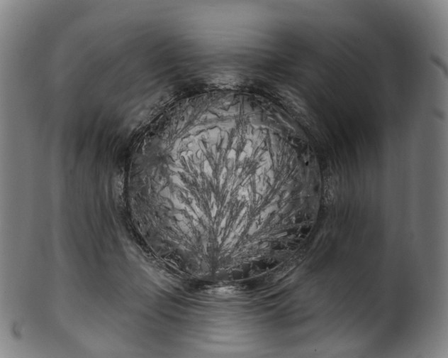 X0000099960365200806061611