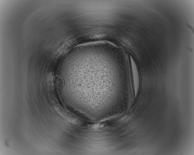 X0000099960366200806061611