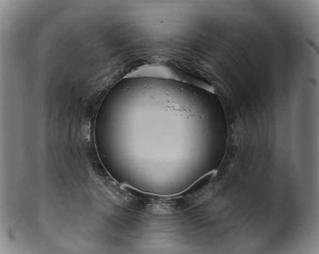 X0000099960368200806061611