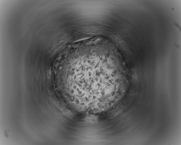 X0000099960369200806061611