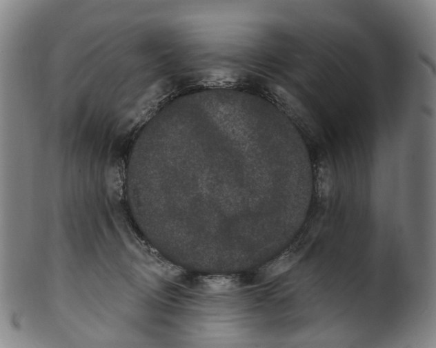 X0000099960370200806061611