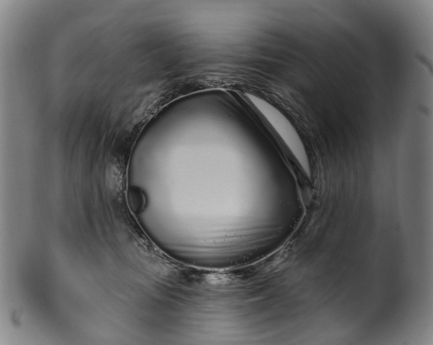X0000099960371200806061611
