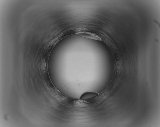 X0000099960372200806061611