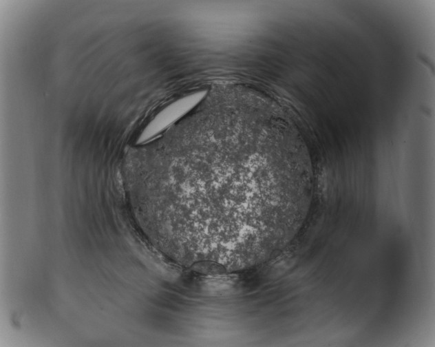 X0000099960373200806061611
