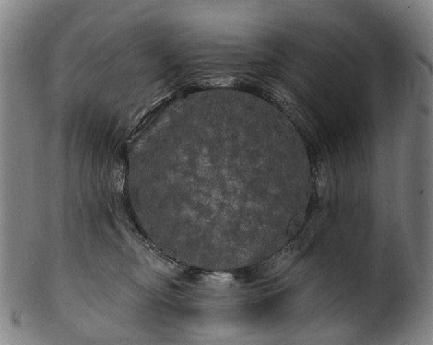 X0000099960374200806061611
