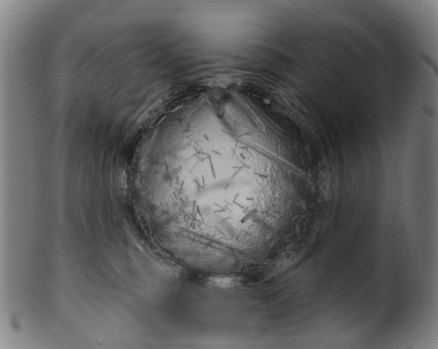 X0000099960375200806061611