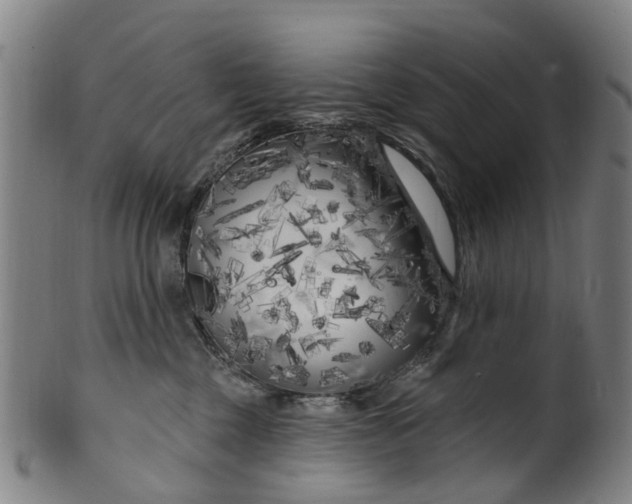 X0000099960377200806061611