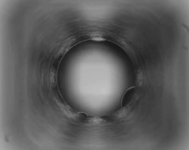 X0000099960379200806061611