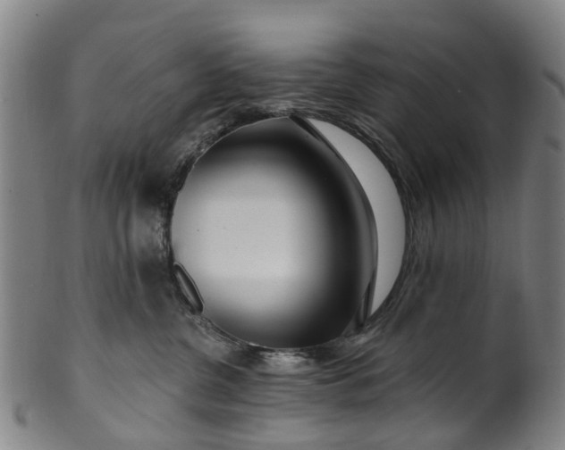 X0000099960380200806061611