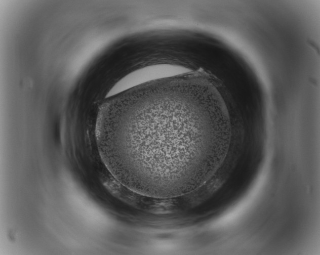 X0000099960382200806061611