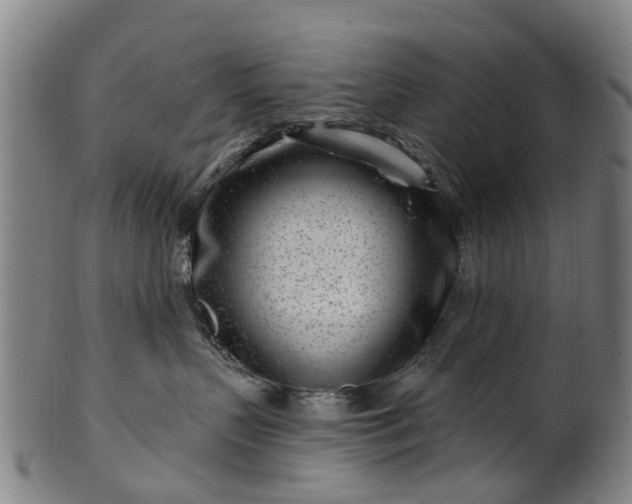 X0000099960383200806061611