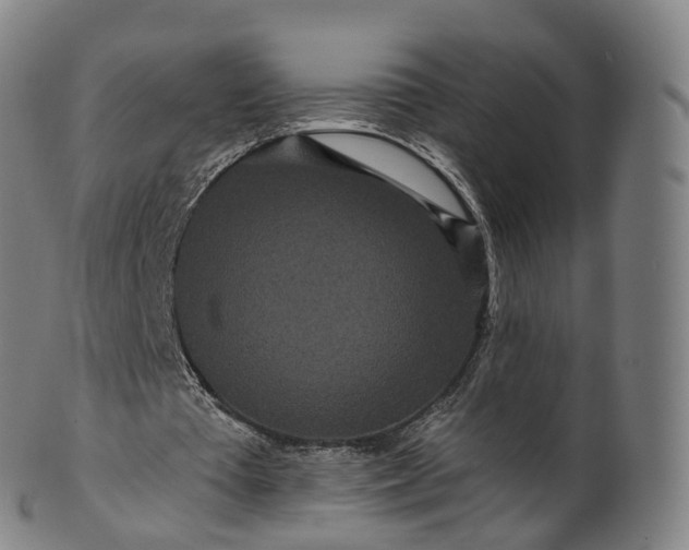 X0000099960385200806061611