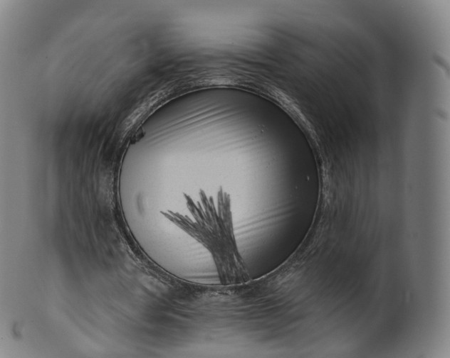 X0000099960386200806061611