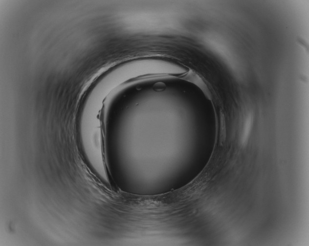 X0000099960387200806061611
