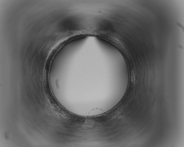 X0000099960388200806061611