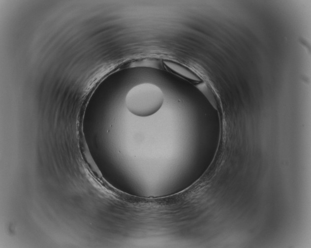 X0000099960389200806061611