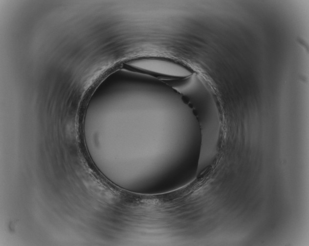 X0000099960391200806061611
