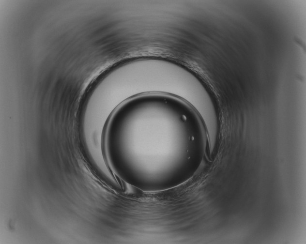 X0000099960392200806061611