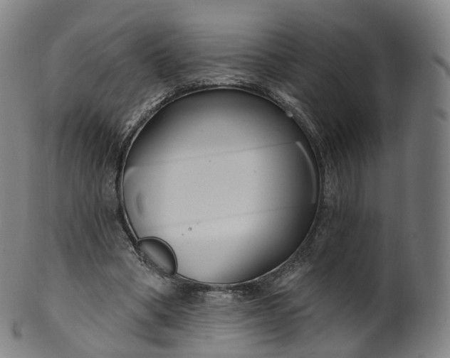 X0000099960394200806061611
