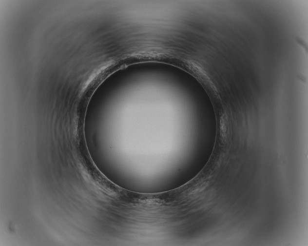 X0000099960396200806061610