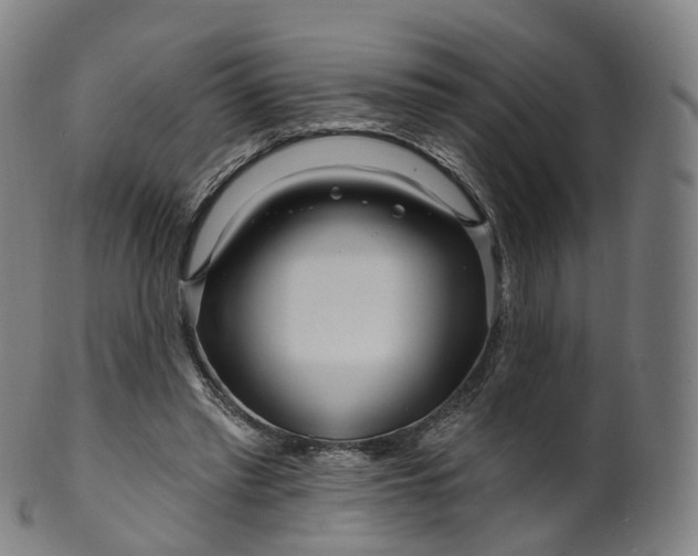 X0000099960397200806061610