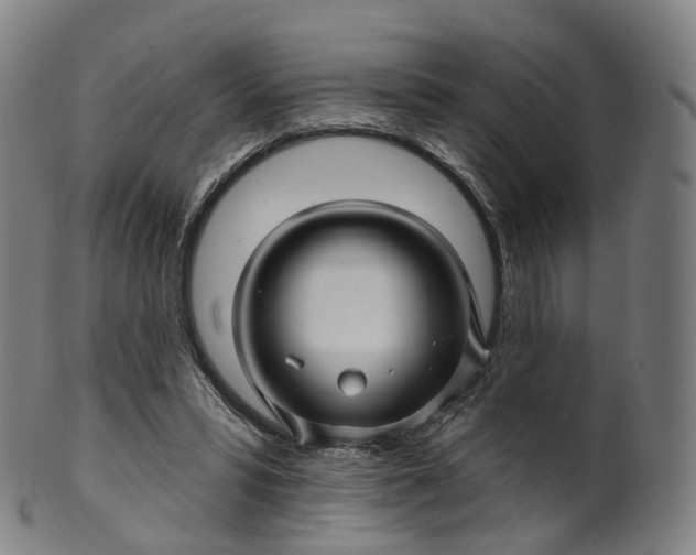 X0000099960399200806061610