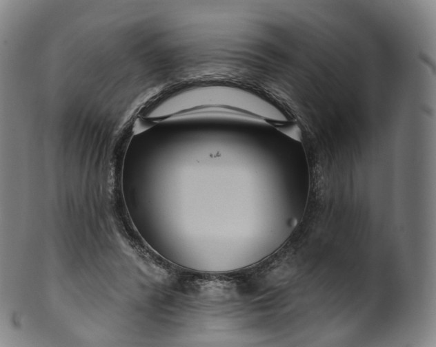 X0000099960400200806061610