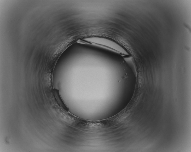 X0000099960401200806061610