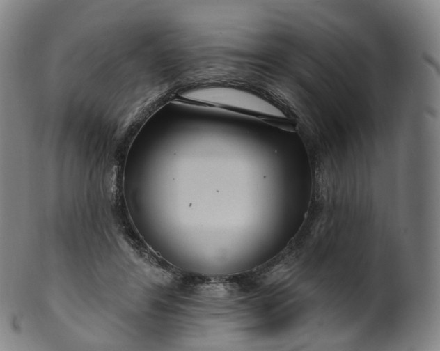 X0000099960404200806061610