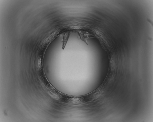 X0000099960406200806061610