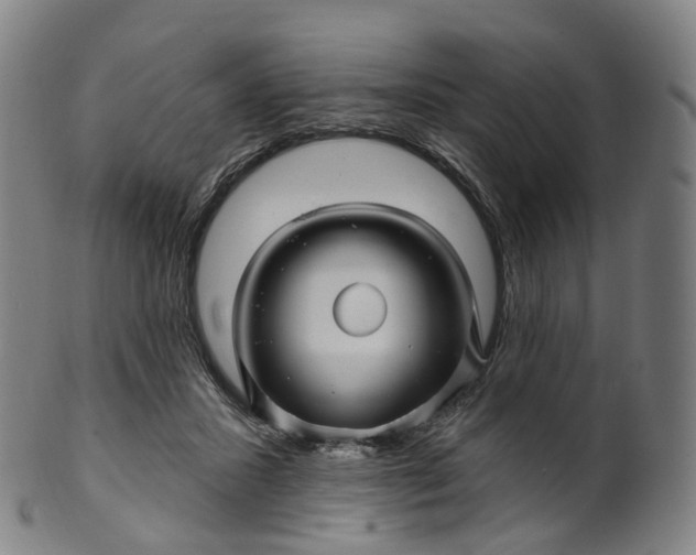 X0000099960407200806061610