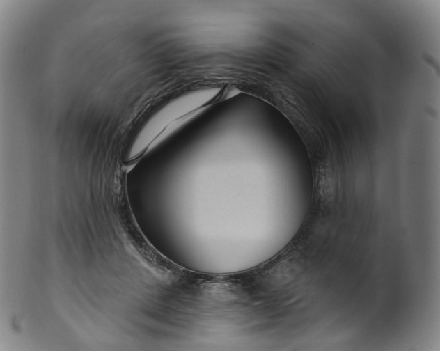 X0000099960408200806061610