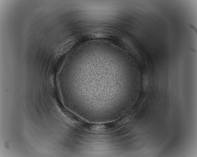 X0000099960410200806061610