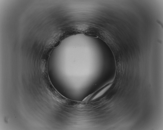 X0000099960412200806061610