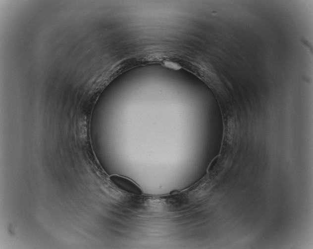 X0000099960413200806061610