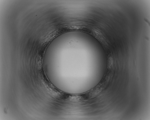 X0000099960414200806061610