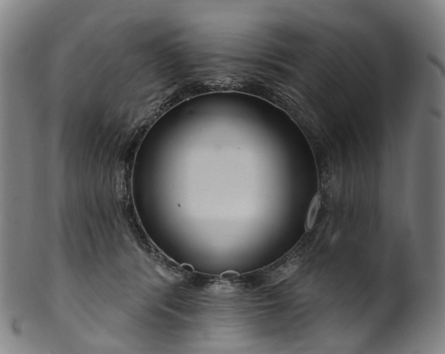 X0000099960416200806061610