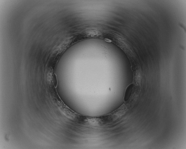 X0000099960417200806061610