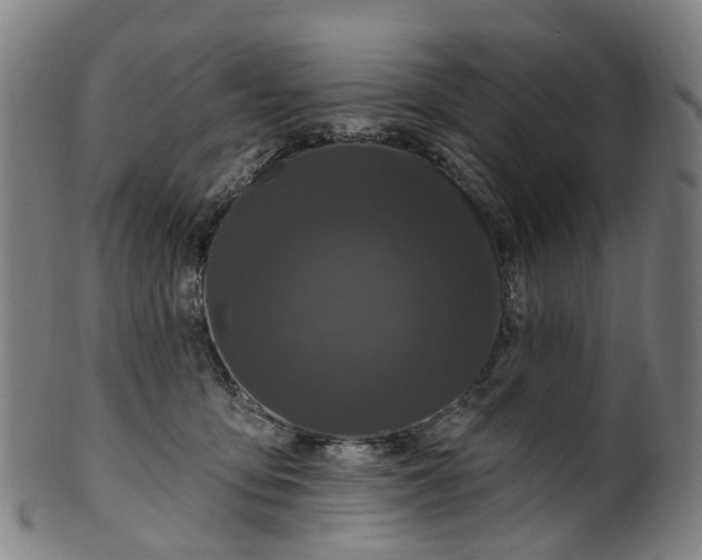 X0000099960419200806061610