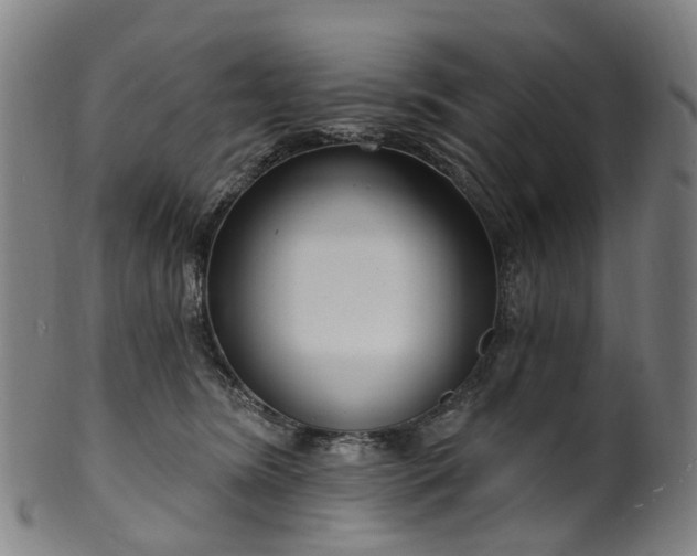X0000099960420200806061610