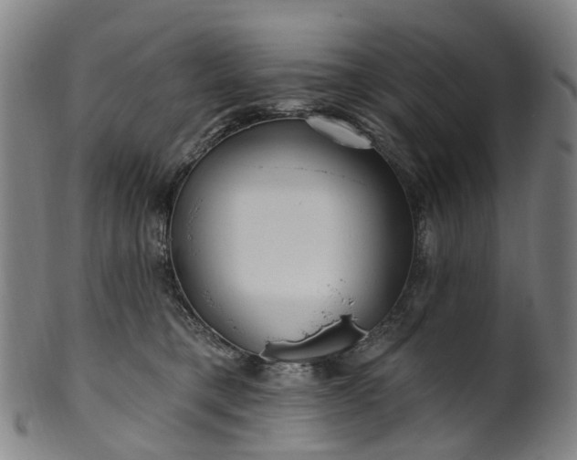 X0000099960421200806061610