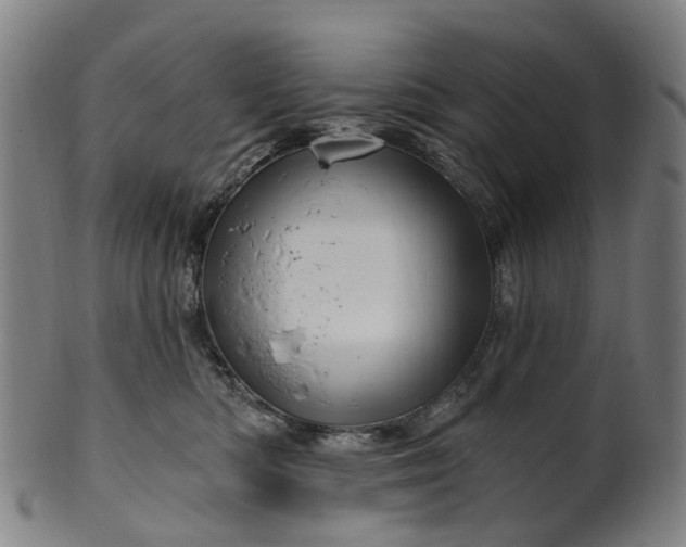 X0000099960422200806061610