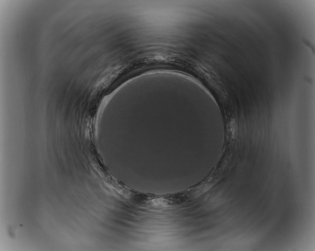 X0000099960423200806061610