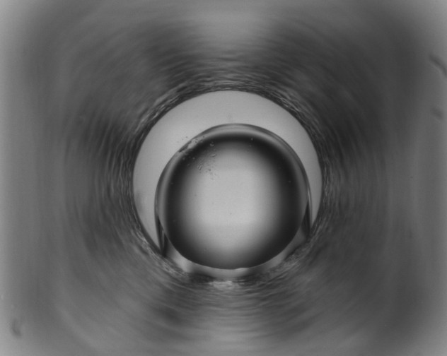 X0000099960425200806061610