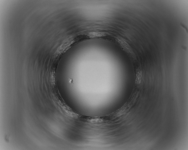 X0000099960426200806061610